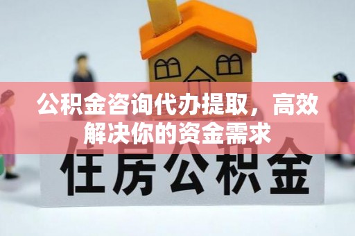 卢氏公积金咨询代办提取，高效解决你的资金需求