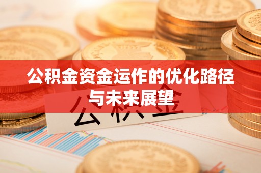 卢氏公积金资金运作的优化路径与未来展望
