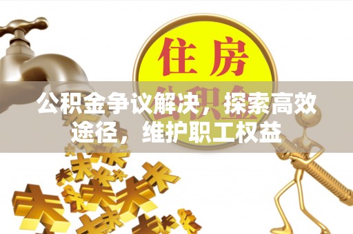 卢氏公积金争议解决，探索高效途径，维护职工权益