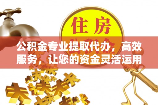 卢氏公积金专业提取代办，高效服务，让您的资金灵活运用