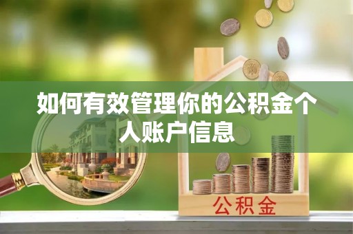 卢氏如何有效管理你的公积金个人账户信息