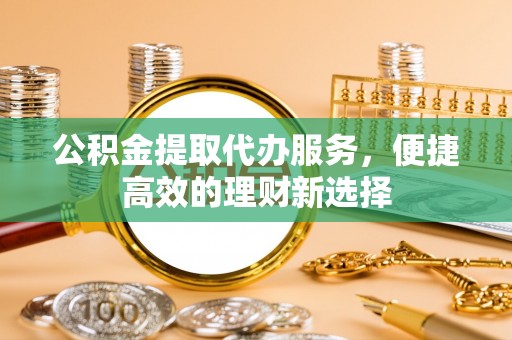 卢氏公积金提取代办服务，便捷高效的理财新选择