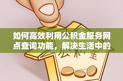 卢氏如何高效利用公积金服务网点查询功能，解决生活中的资金难题