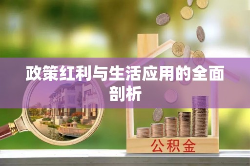 卢氏政策红利与生活应用的全面剖析
