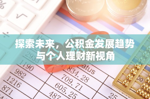 卢氏探索未来，公积金发展趋势与个人理财新视角