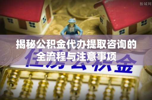 卢氏揭秘公积金代办提取咨询的全流程与注意事项