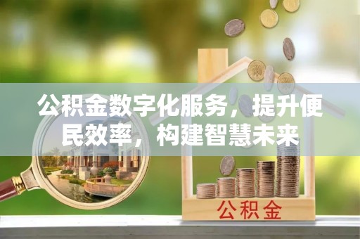 卢氏公积金数字化服务，提升便民效率，构建智慧未来