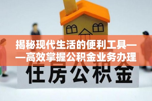 卢氏揭秘现代生活的便利工具——高效掌握公积金业务办理流程的关键步骤