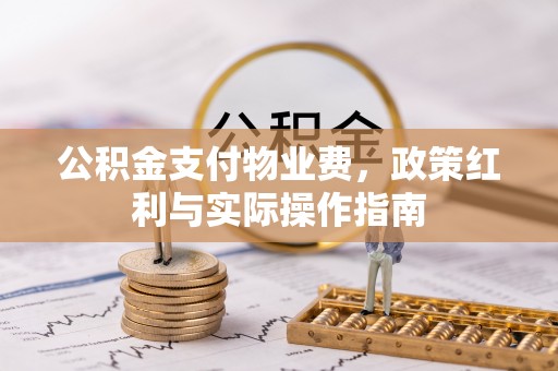 卢氏公积金支付物业费，政策红利与实际操作指南
