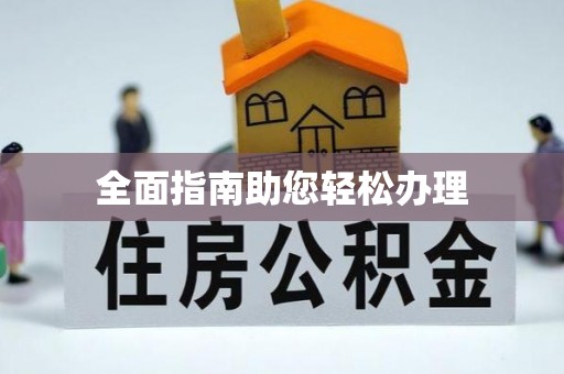 卢氏全面指南助您轻松办理
