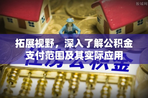 卢氏拓展视野，深入了解公积金支付范围及其实际应用
