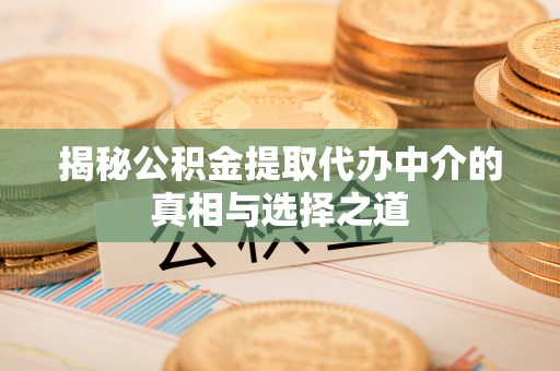 卢氏揭秘公积金提取代办中介的真相与选择之道