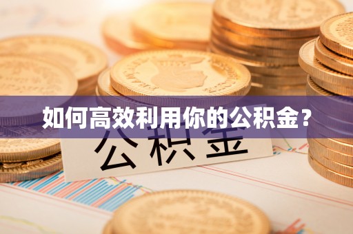 卢氏如何高效利用你的公积金？