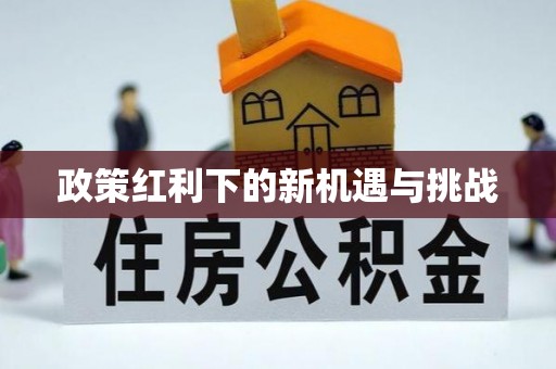 卢氏政策红利下的新机遇与挑战