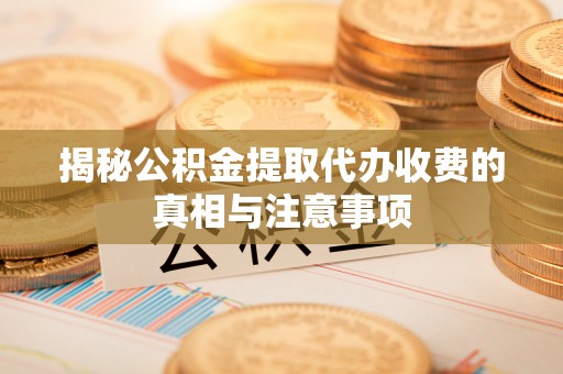 卢氏揭秘公积金提取代办收费的真相与注意事项