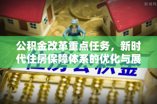 卢氏公积金改革重点任务，新时代住房保障体系的优化与展望