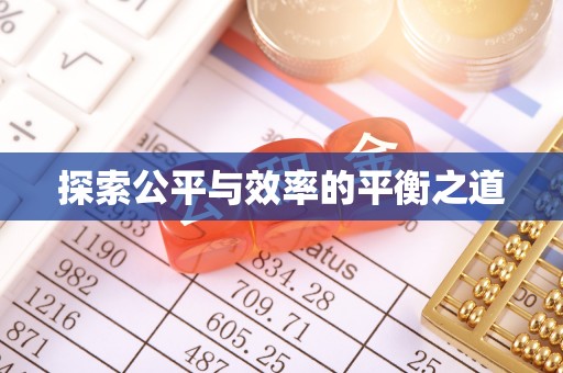 卢氏探索公平与效率的平衡之道