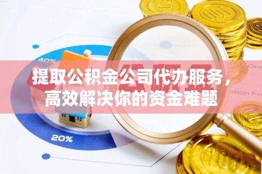 卢氏提取公积金公司代办服务，高效解决你的资金难题