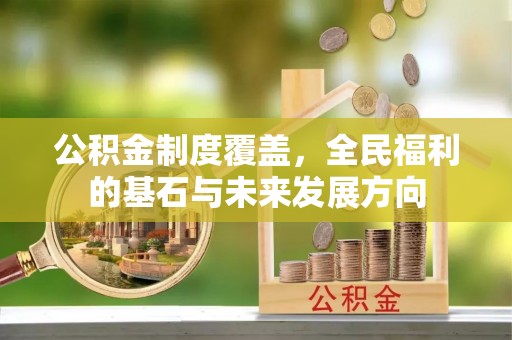 卢氏公积金制度覆盖，全民福利的基石与未来发展方向