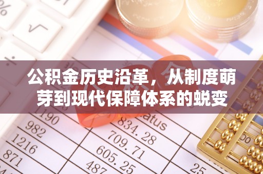 卢氏公积金历史沿革，从制度萌芽到现代保障体系的蜕变