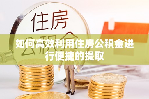 卢氏如何高效利用住房公积金进行便捷的提取