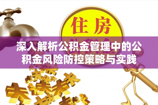 卢氏深入解析公积金管理中的公积金风险防控策略与实践