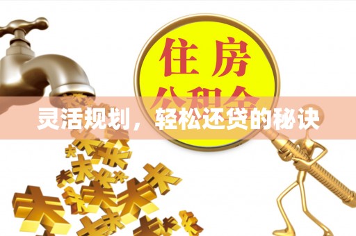卢氏灵活规划，轻松还贷的秘诀