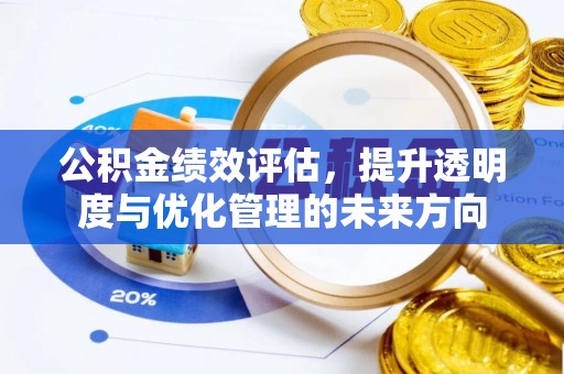 卢氏公积金绩效评估，提升透明度与优化管理的未来方向
