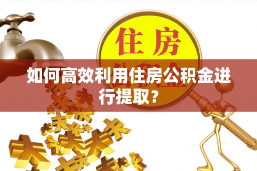 卢氏如何高效利用住房公积金进行提取？