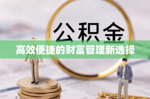 卢氏高效便捷的财富管理新选择