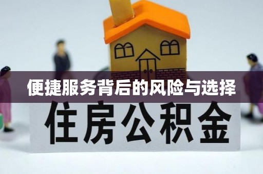 卢氏便捷服务背后的风险与选择