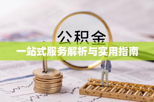 卢氏一站式服务解析与实用指南