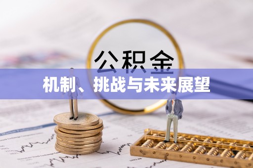 卢氏机制、挑战与未来展望