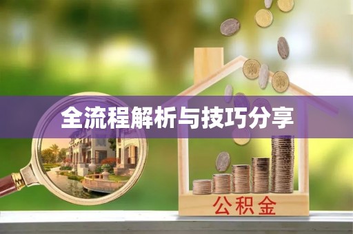 卢氏全流程解析与技巧分享
