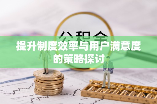 卢氏提升制度效率与用户满意度的策略探讨